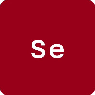 Everything You Need to Know About Selenium