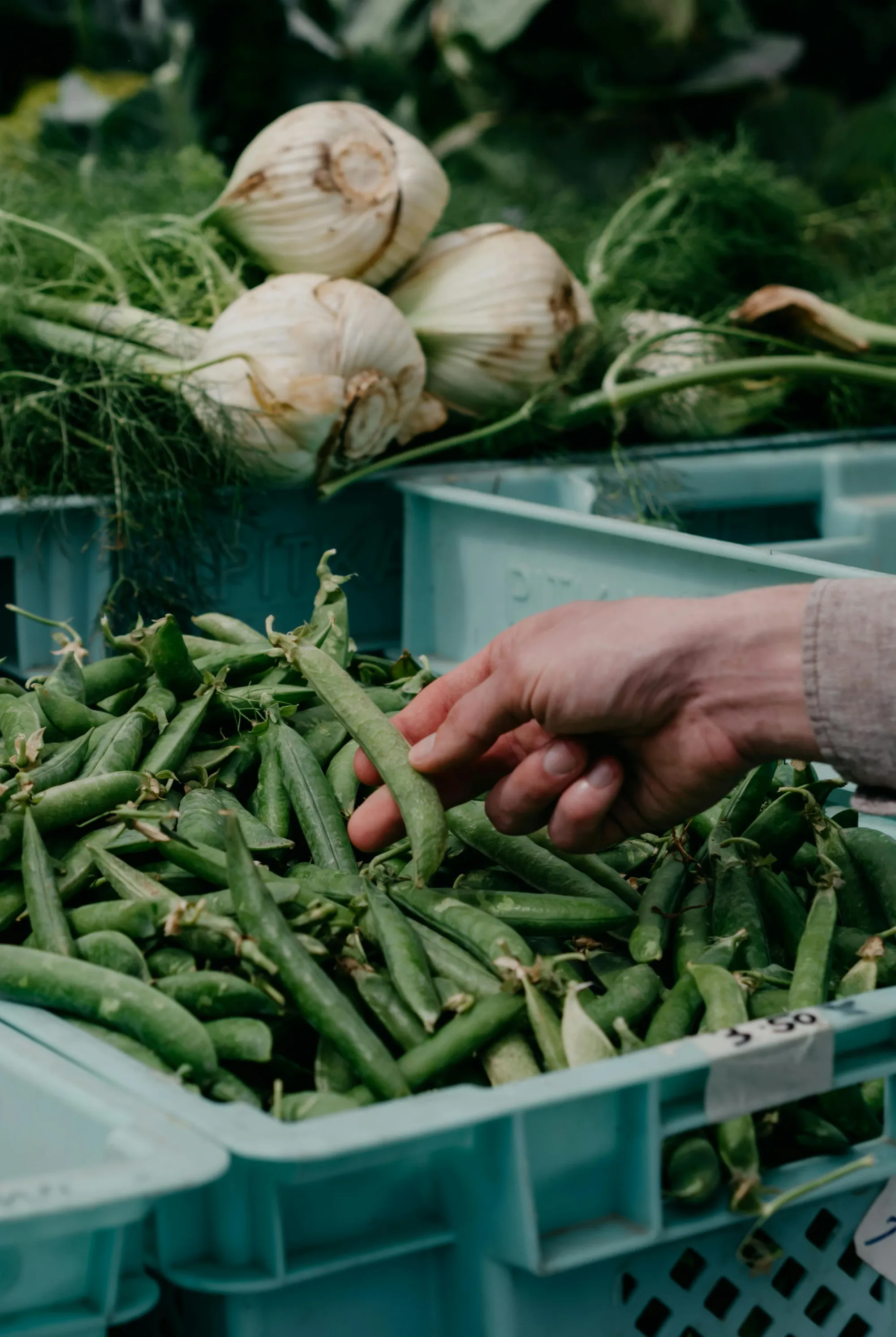 The Ultimate Guide to Cooking with Seasonal Produce