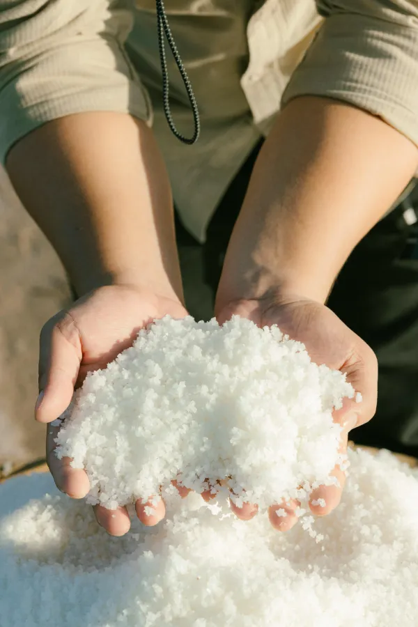 The Ultimate Guide to Cooking with Salt: Table Salt, Sea Salt, and Beyond